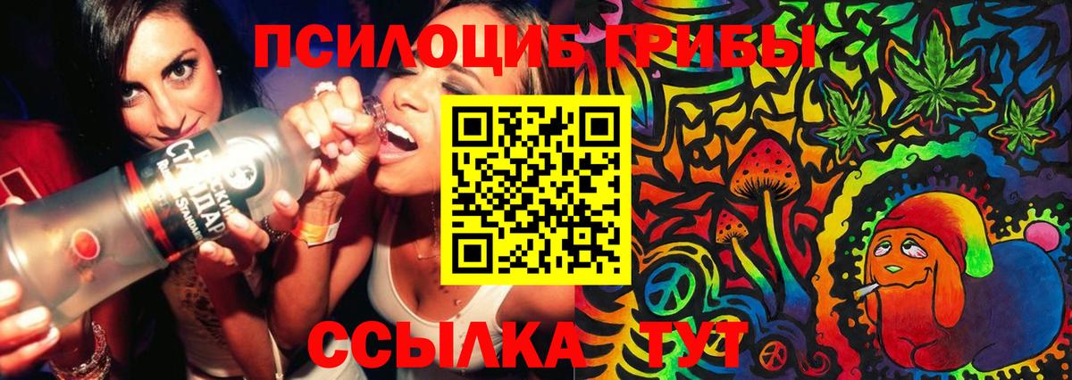 Галлюциногенные грибы мицелий Уссурийск